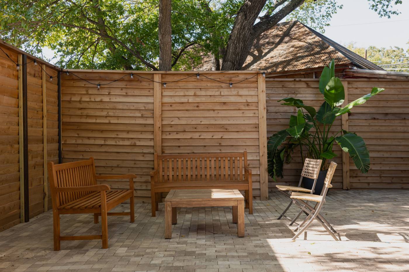 Patio benches beneath the courtyard tree